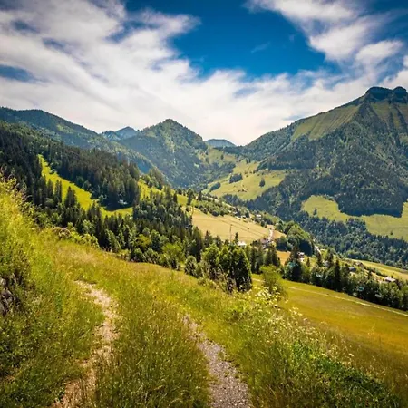 With Balcony And Sauna