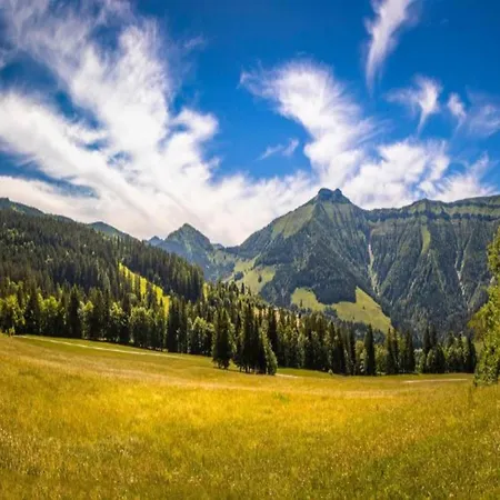 With Balcony And Sauna アパート