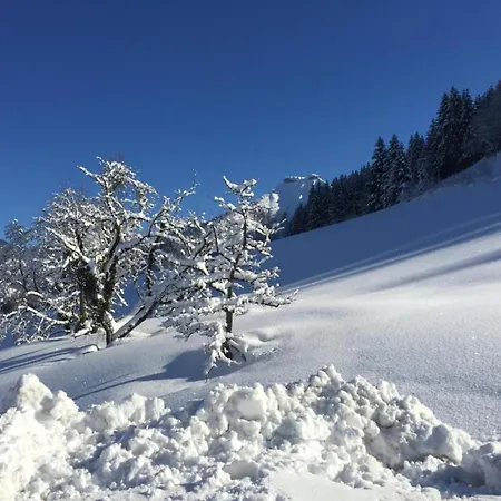Apartamento With Balcony And Sauna Flachau