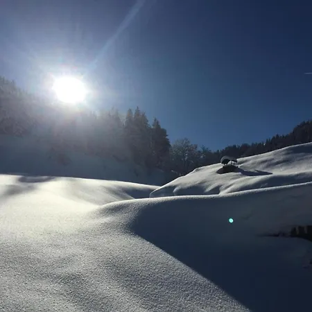 With Balcony And Sauna * フラッハウ