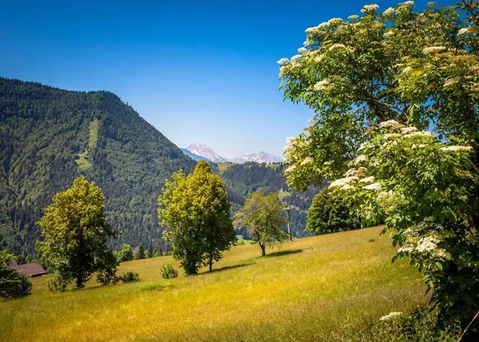 Apartment With Balcony And Sauna Flachau