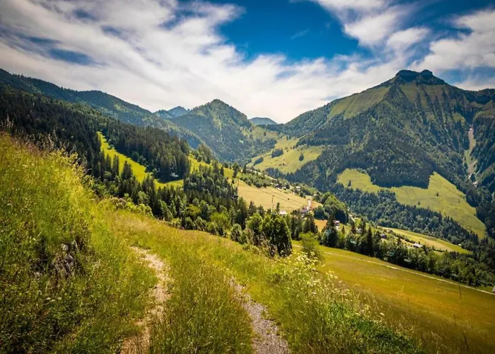Apartment With Balcony And Sauna