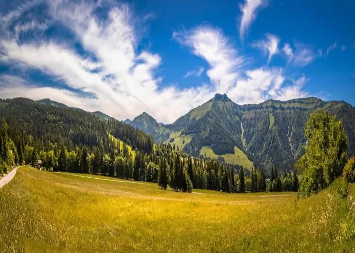 With Balcony And Sauna Apartment