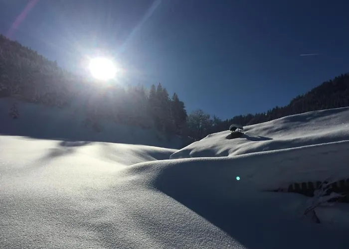 Apartment With Balcony And Sauna * Flachau