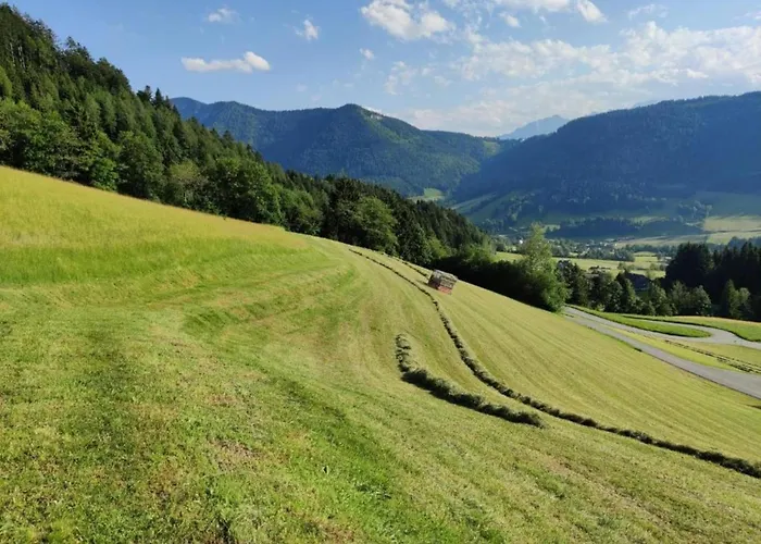 With Balcony And Sauna Apartment