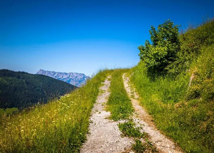 With Balcony And Sauna Apartment *